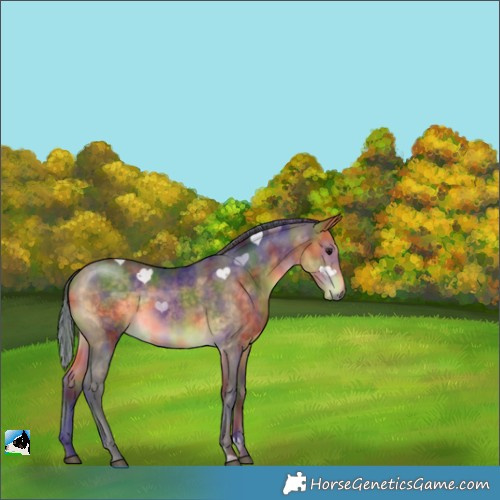 Horse Color:Nacre Buckskin 