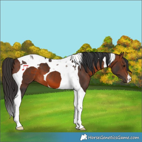 Horse Color:Brown Tobiano 