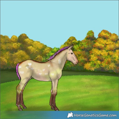 Horse Color:Painted Silver Bay Dun 