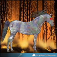 Horse Color:Nacre Black Ice 