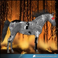 Horse Color:Black Ice Tobiano 