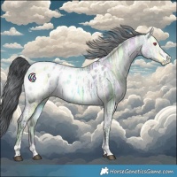 Horse Color:Bay Chinchilla Ice Blanket 