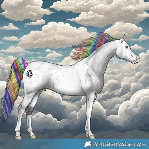 Horse Color:Painted Buckskin Chinchilla Ice Tobiano Appaloosa 