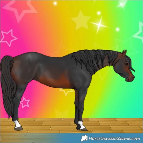 Horse Color:Brown 