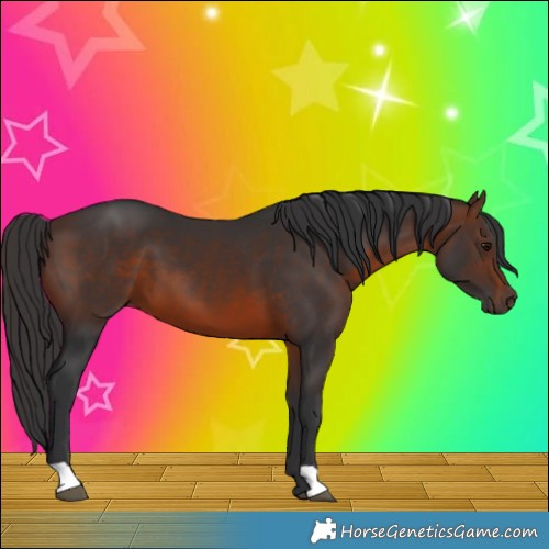 Horse Color:Brown 