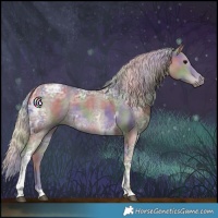 Horse Color:Nacre Silver Black Ice Tobiano 