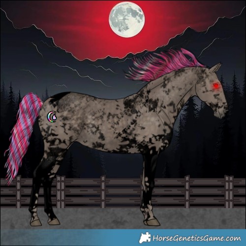 Horse Color:Void Painted White Spotted Silver Smoky Black Tobiano 