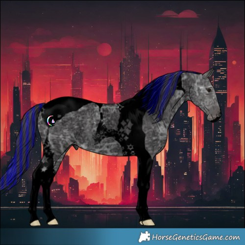 Horse Color:Void Painted Smoky Blue Ice Roan Tobiano 