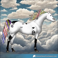 Horse Color:Void Painted Palomino Chinchilla Ice Tobiano