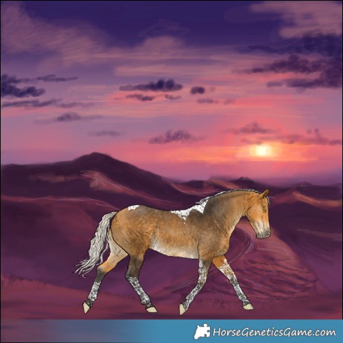 Horse Color:Silver Buckskin Tobiano 