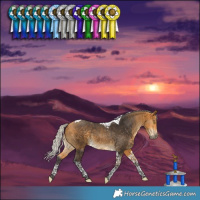 Horse Color:Silver Buckskin Tobiano