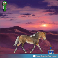 Horse Color:Silver Buckskin Tobiano 