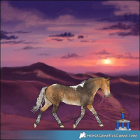 Horse Color:Silver Buckskin Tobiano 