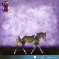 Horse Color:Silver Buckskin Tobiano Rabicano 