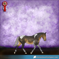 Horse Color:Silver Buckskin Tobiano Rabicano