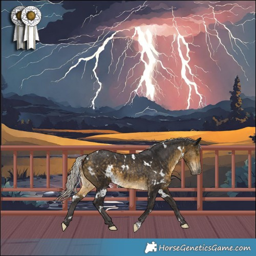 Horse Color:White Spotted Silver Buckskin 
