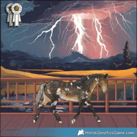 Horse Color:White Spotted Silver Buckskin 