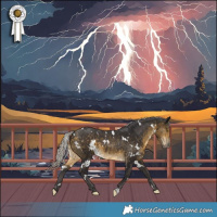 Horse Color:White Spotted Silver Buckskin 