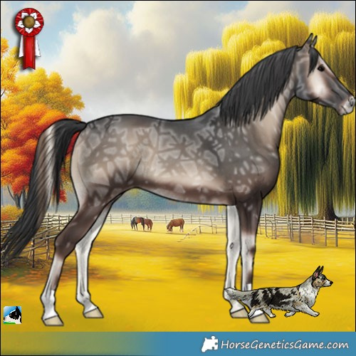 Horse Color:Blue Onyx Ice