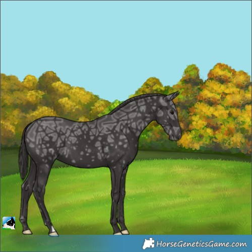 Horse Color:Smoky Black Ice 