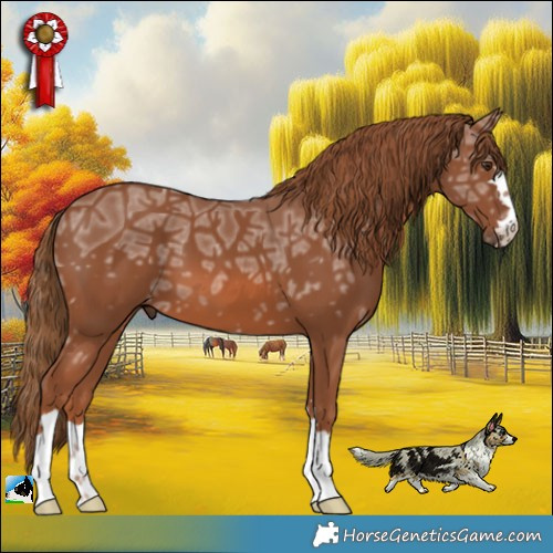 Horse Color:Chestnut Ice 