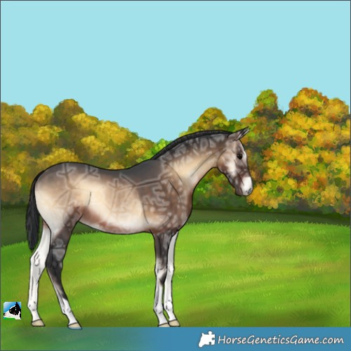 Horse Color:Brown Ice Onyx 