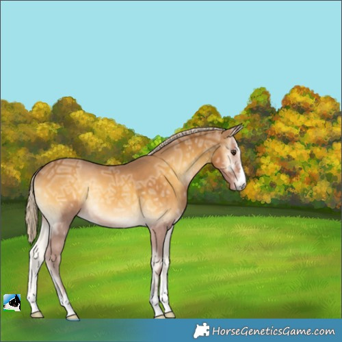 Horse Color:Palomino Ice Onyx 