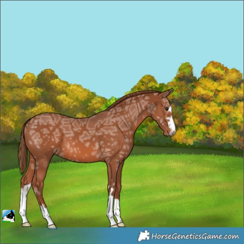 Horse Color:Chestnut Ice 