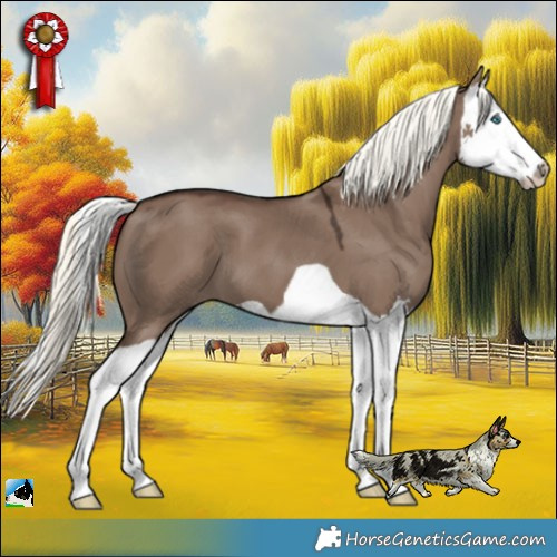 Horse Color:Liver Red Dun Mushroom Splash 