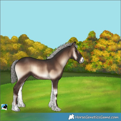 Horse Color:Liver Red Onyx Mushroom Rabicano