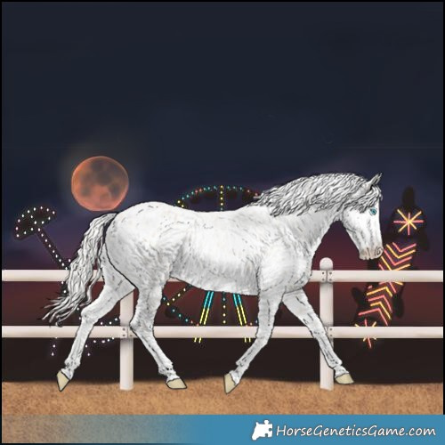 Horse Color:Cremello Roan Leopard 
