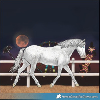 Horse Color:Cremello Roan Leopard 