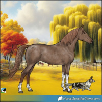 Horse Color:Liver Red Dun Tobiano Rabicano Brindle