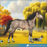 Horse Color:Bay Dun Rabicano Brindle