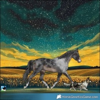 Horse Color:Brown Merle