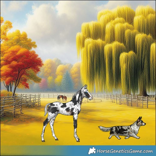 Horse Color:Brown Harlequin Merle