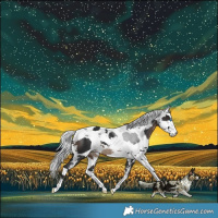 Horse Color:Brown Harlequin Merle