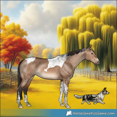 Horse Color:Brown Dun Tobiano Brindle 