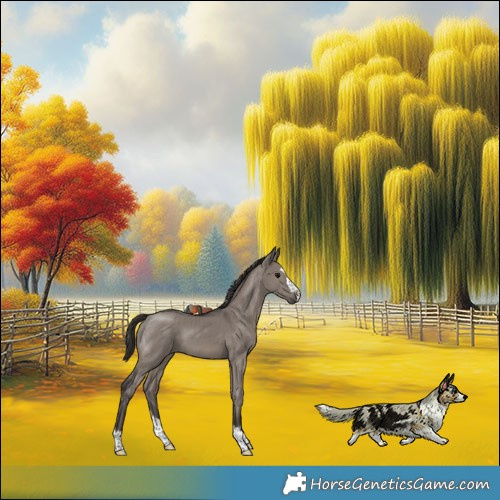 Horse Color:Smoky Grullo Brindle