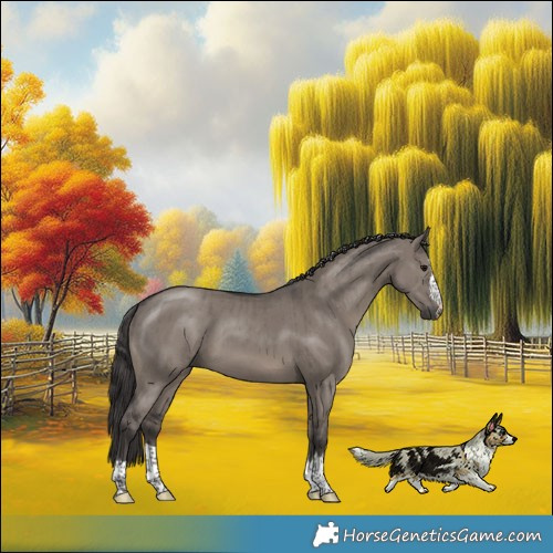 Horse Color:Smoky Grullo Brindle