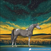 Horse Color:Smoky Grullo Merle Tobiano 