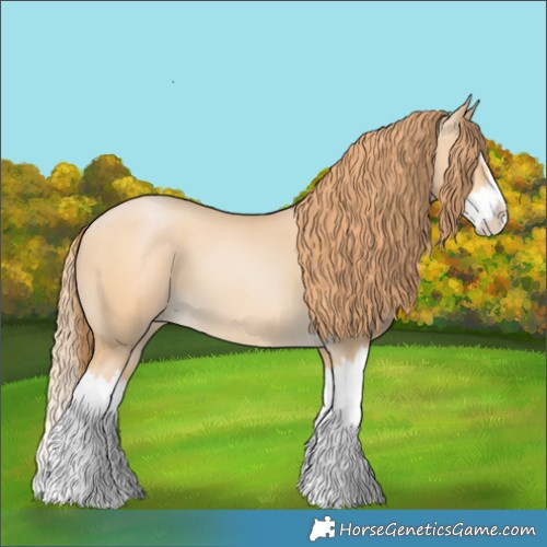 Horse Color:Buckskin Pearl Splash 