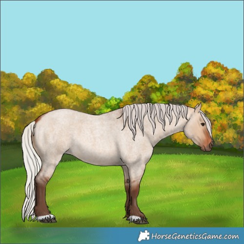 Horse Color:Silver Bay Roan Dun 