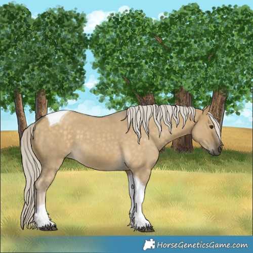 Horse Color:Silver Buckskin Dun Tobiano 