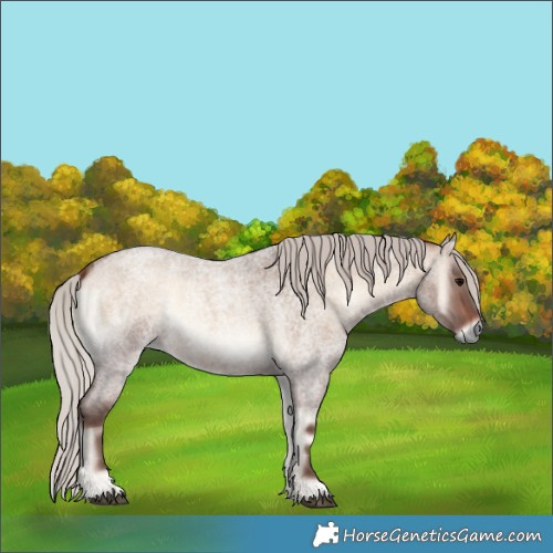 Horse Color:Silver Brown Roan Onyx 