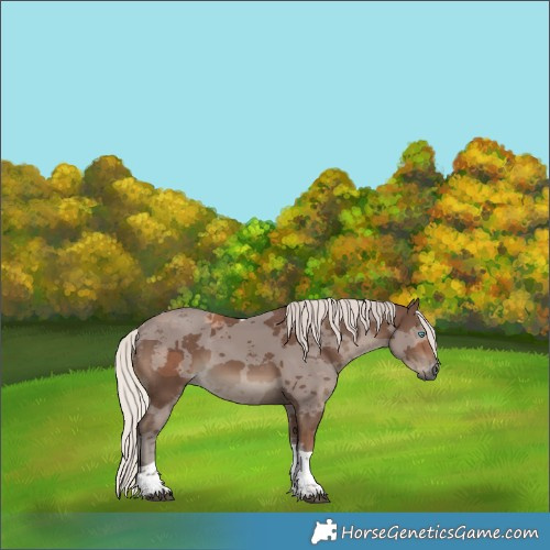 Horse Color:Silver Black Merle Tobiano 