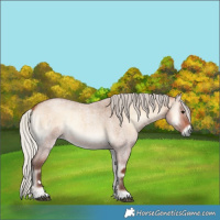 Horse Color:Silver Bay Roan Onyx 