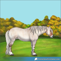 Horse Color:Silver Bay Roan Onyx