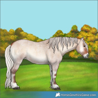 Horse Color:Silver Bay Roan Onyx