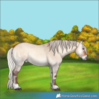 Horse Color:Silver Bay Roan Onyx 